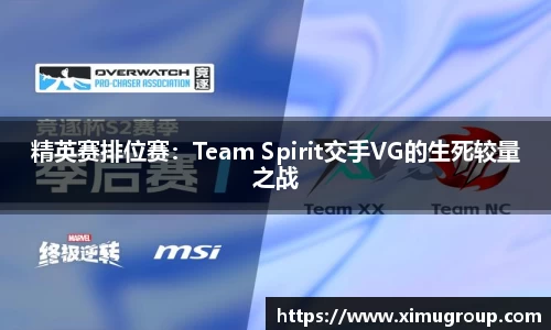 精英赛排位赛：Team Spirit交手VG的生死较量之战