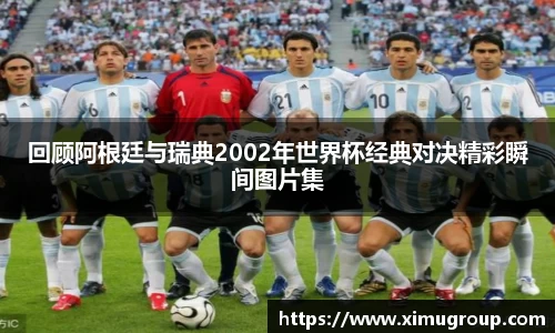 回顾阿根廷与瑞典2002年世界杯经典对决精彩瞬间图片集