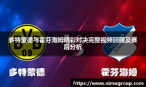 多特蒙德与霍芬海姆精彩对决完整视频回顾及赛后分析