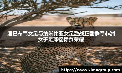 中欧体育平台